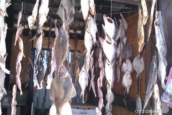 Сувенир из Анапы (Россия, Анапа) фото