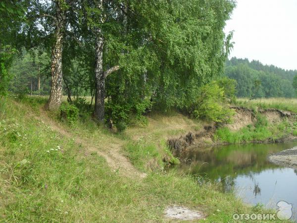 Отдых на Сибирской речке Тугояковке фото