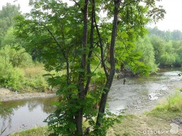 Отдых на Сибирской речке Тугояковке фото