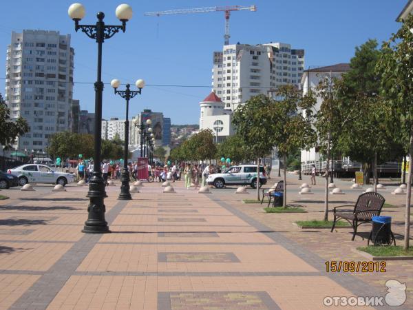 Платановая аллея, пр. Ленина, Новороссийск