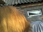 Ламинирование волос в домашних условиях желатином фото