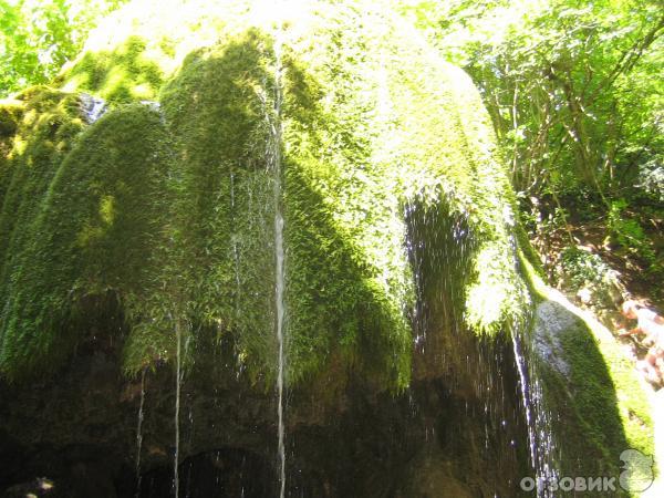 Сам водопад - мшистая горка со струйками водички