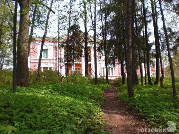 Село Ярополец (Россия, Московская область) фото