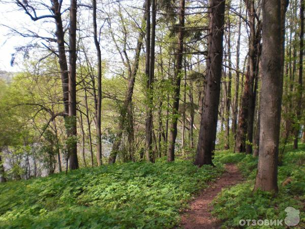 Село Ярополец (Россия, Московская область) фото