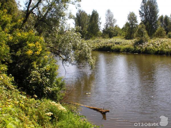 Село Ярополец (Россия, Московская область) фото