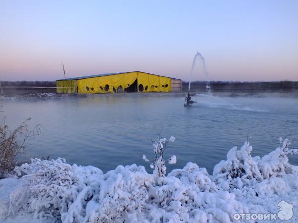 Сероводород фонтан. Сероводородный источник в Энгельсе. Сероводород Энгельс фонтан. Сероводородный источник в Энгельсе зимой.