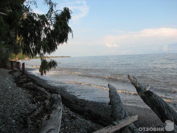 Кындыг абхазия частный. Кындыг Абхазия море. Море Кындыг Абхазия Эвкалиптовая роща. Эвкалиптовая роща пансионат Абхазия. Эвкалиптовая роща Абхазия пляж.