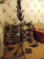 Ель новогодняя искусственная Rich Family фото